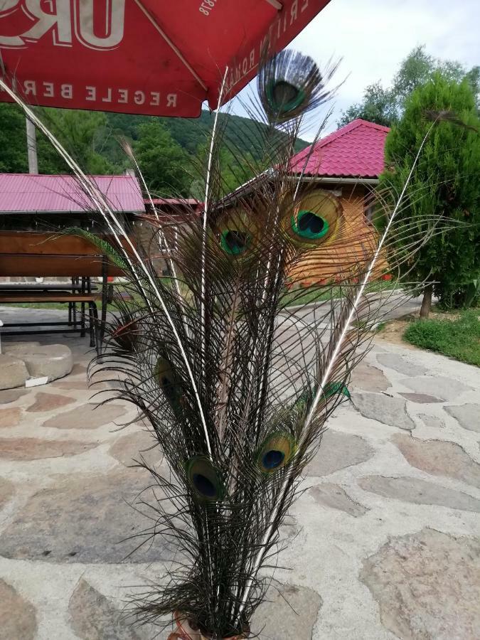 Pensiunea La Busu -Bigar Bozovici ภายนอก รูปภาพ